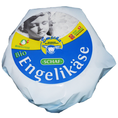 ModelType Bild
