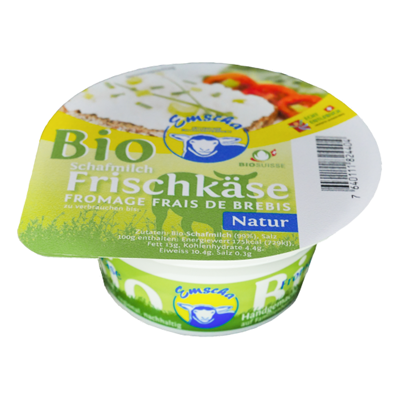 ModelType Bild